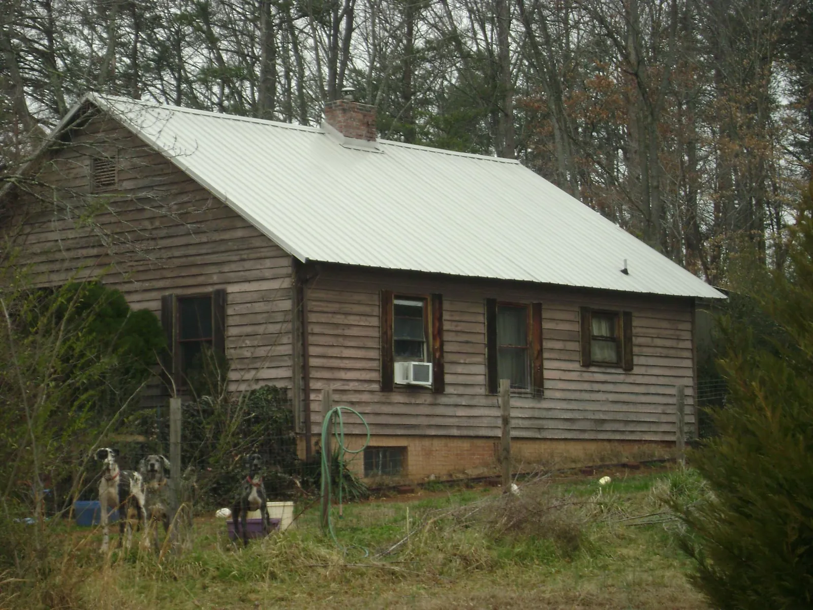 White metal roof on an old wood sided farmhouse, from a Asphalt Shingle Roof Repair job in Manley